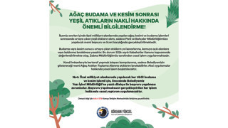 Kartal Belediyesi’nden Ağaç Budama ve Kesim Sonrası Yeşil Atıklarla İlgili Önemli Uyarı