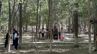 İnsanlıktan nasibini almamışlar için yemyeşil kent ormanlarında ''utandıran'' kampanya!
