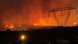 Manisa'daki orman yangınında bir gözaltı daha!