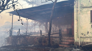 Çanakkale'deki orman yangının bıraktığı tahribat gün ağırınca ortaya çıktı
