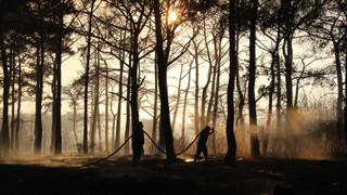 Bakan duyurdu: 5 orman yangını kontrol altında