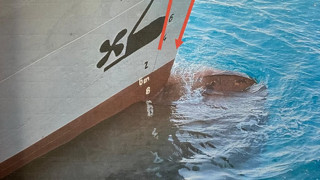 Halit Yukay'dan hala iz yokken tutuklanan kaptanın görüntüleri ortaya çıktı!