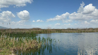 Türkiye'nin en büyük göllerinden biri daha yok oluyor!