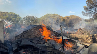 İzmir'de orman yangını: Alevler evlere sıçradı
