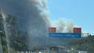 Suriye'de çıkan orman yangını Türkiye’ye sıçradı