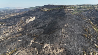 Çanakkale'deki orman yangınının ardından yürek yakan manzara!