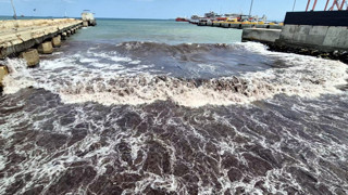 Sahil şeridinde denizin rengi maviden kırmızıya döndü!