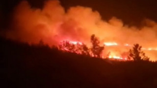 İzmir bir kez daha alevlere teslim oldu!