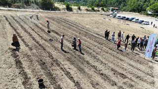 Dünyanın en pahalı baharatı, Türkiye'nin tarihi ilçesinde toprakla buluştu!