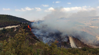 Suriye sınırında orman yangını