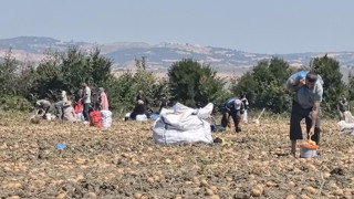 Hasattan vazgeçti, vatandaşlara ücretsiz dağıttı