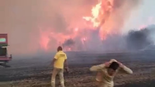 Çanakkale'nin yeşil cenneti Gelibolu kül dağına döndü...