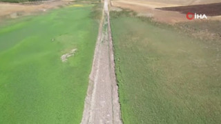 Kuraklık başladı, sular çekildi, araçlar artık gölün üstünden geçebiliyor...