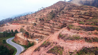 Küle dönen ormanlık alanlarımızı yeniden yeşertilmesi için kritik uyarı