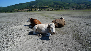 Türkiye'nin maviyle yeşilin buluştuğu cenneti bakın ne oldu!