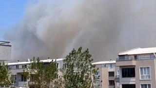 Bursa'da bir orman yangını daha!