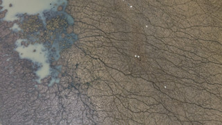 Korkulan oldu... Bir cennetimiz yok oldu, Türkiye'nin coğrafi haritası değişti!