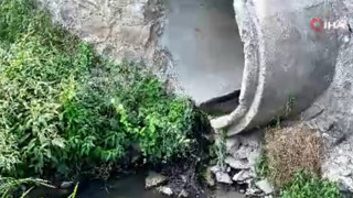 İstanbul'daki dere yatağından gelen görüntü kahretti