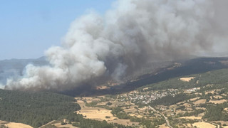 Çanakkale Gelibolu'da orman yangını