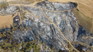 Çanakkale Gelibolu'da orman yangının küle çevirdiği alanlar kahretti