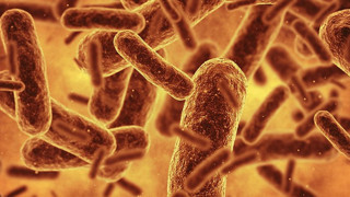 Bilim insanlarından tarihi adım: Sadeleştirilmiş ve değiştirilmiş yeni bir bakterimiz oldu