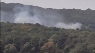 İstanbul Sarıyer'de ormanda yangın