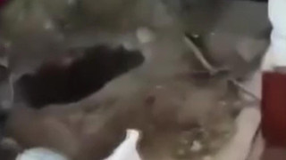 Ailelerinden kalan mirasta anlaşamayıp evi köstebek yuvasına çevirdiler!