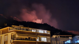 Marmara Adası'nda orman yangını çıktı