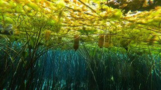 Antalya'nın doğal cenneti tüm önlemlere rağmen çöplüğe döndü!