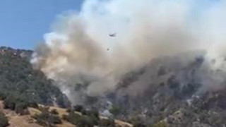 Denizli'de orman yangını