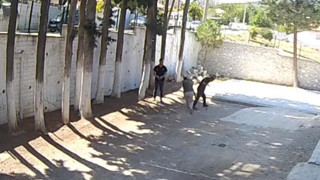 Belediye başkanı, zabıta memurlarını sopayla darbetti