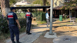 Kedi köpek katliamının ayrıntıları bir kez daha kahretti: 10 köpek ve 5 kedi öldürülmüştü...