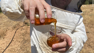 Dünya'nın en iyi balı Türkiye'de üretildi... Üretici Guinness Rekorlar Kitabı'na başvuracak!