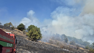 Balıkesir'de orman yangını: Tarlada başladı, ormana sıçradı