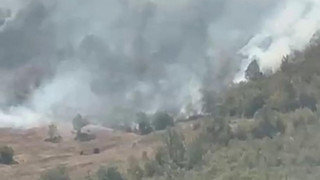 Küre Dağları Milli Parkı'nda orman yangını