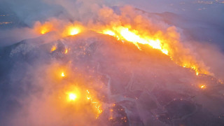 Aydın'daki orman yangınında 3'üncü güne girildi