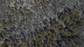 Denizli'de 5 gün boyunca süren yangında felaketin boyutu ortaya çıktı