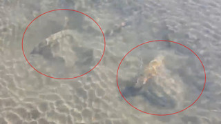 Türkiye'nin ''sır'' Atlantis'i mi ? Suların altından çıkanlar herkesi hayretler içerisinde bıraktı