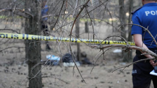 Ormanda çürümüş halde bulunan cesedin sırrı çözüldü