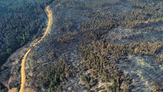 İlçeden ilçeye sıçrayan orman yangınından geriye bu kahreden, acı manzara kaldı