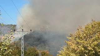 Düzce'de orman yangını
