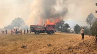 Yine orman yangını, yine Bursa... Bursa'dan bir kez daha alevler yükseldi
