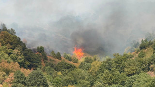 Düzce'deki orman yangını kısmen kontrol altına alınırken başka bir bölge de daha yangın çıktı