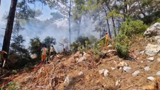 Antalya'da orman yangını