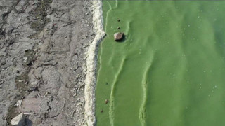 İstanbul'un içme suyu kaynağından mide bulandıran görüntü