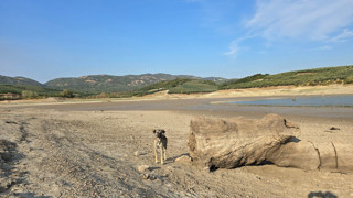 Türkiye'nin bir eşsiz doğa harikasından daha kötü haber: Artık her yerinde ölüm var!