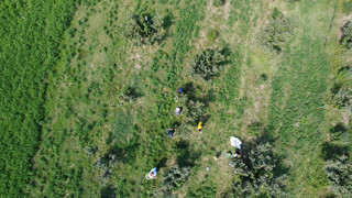 Adana, sadece 5 yılda Karadeniz'e rakip oldu: Görenler gözlerine inanamıyor