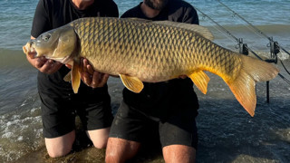 Sapanca Gölü’nde bir dev yakalandı! Nefes kesen mücadele kamerada