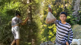 Ormandan toplayıp, kilosunu 5 bin liradan satıyor