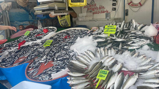 Balıkçıların yüzü gülüyor: 15 gün önce kalkan av yasağının ardından tezgahlarda yok yok!